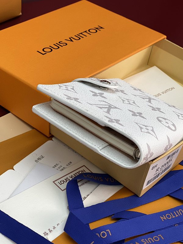 Louis Vuitton R20005