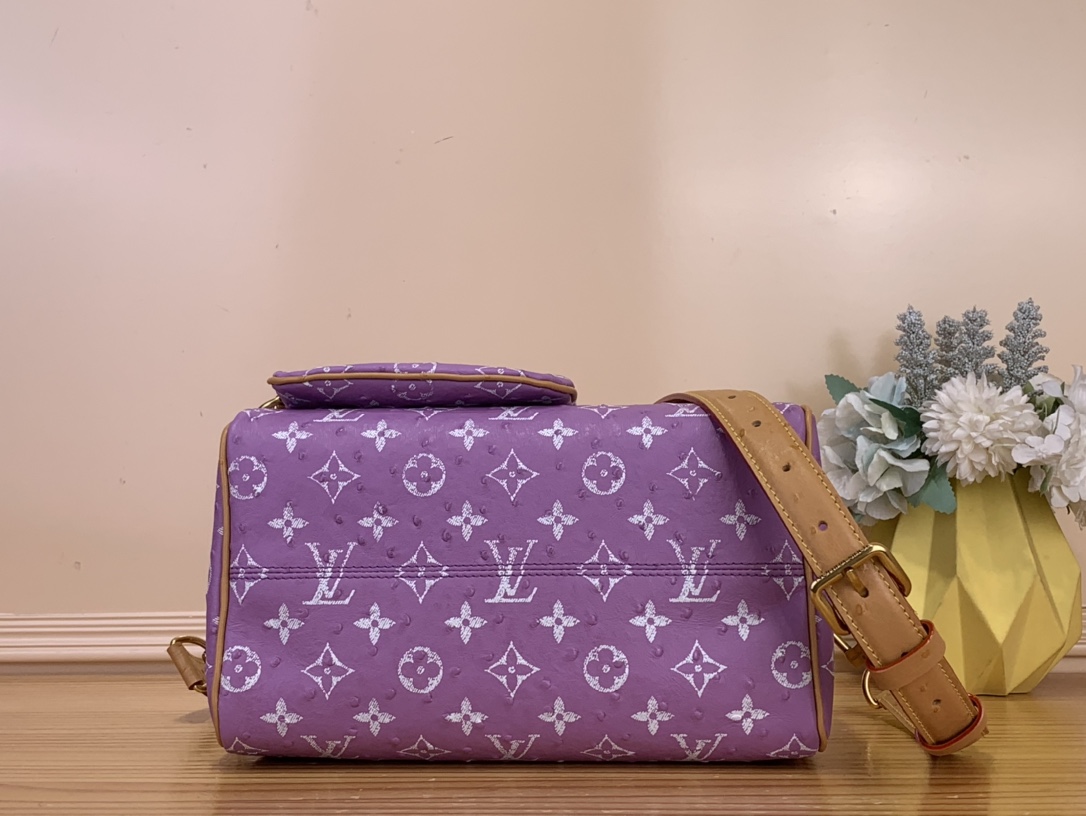 Louis Vuitton N88226