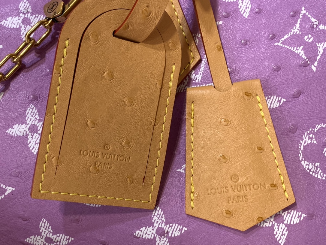 Louis Vuitton N88228