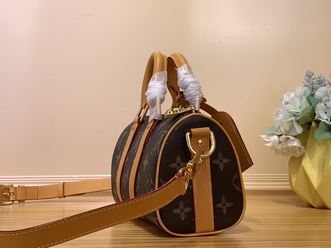 Louis Vuitton Louis Vuitton