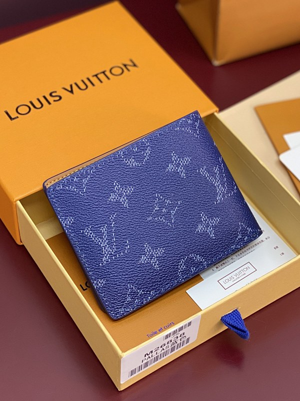 Louis Vuitton Louis Vuitton