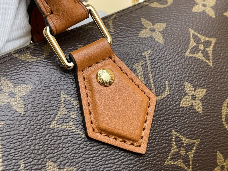 Louis Vuitton Louis Vuitton