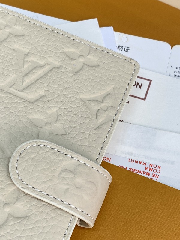 Louis Vuitton R20005