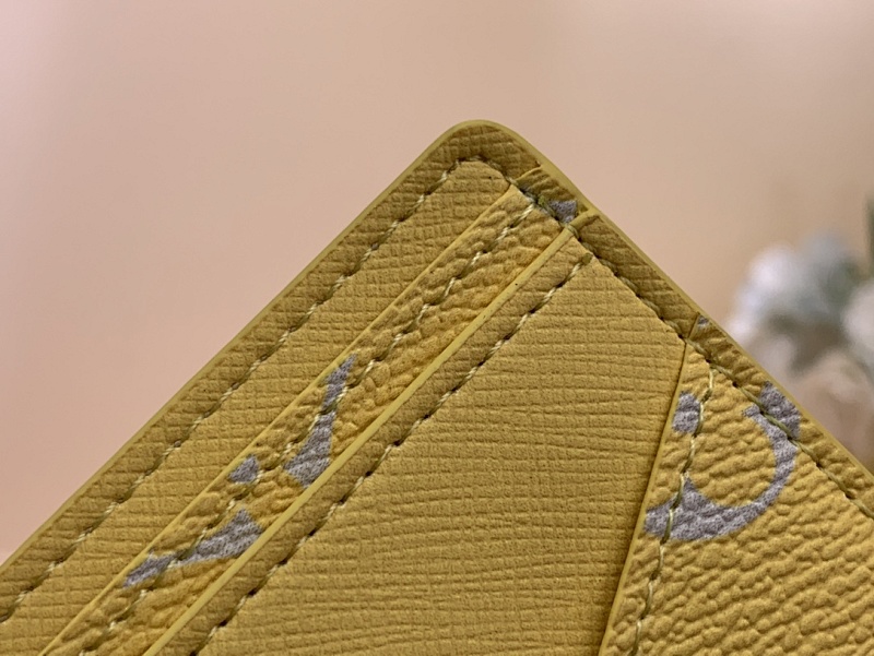 Louis Vuitton Louis Vuitton
