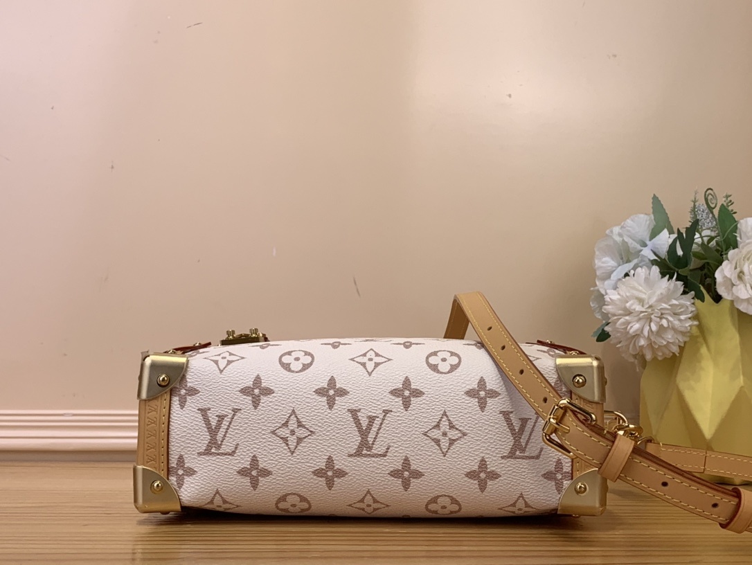 Louis Vuitton Louis Vuitton