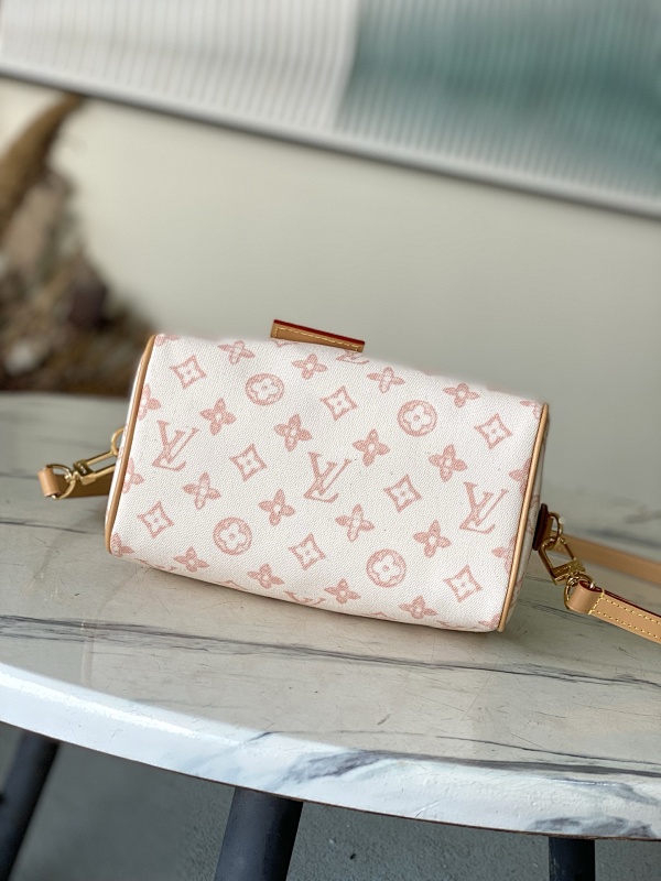 Louis Vuitton Louis Vuitton