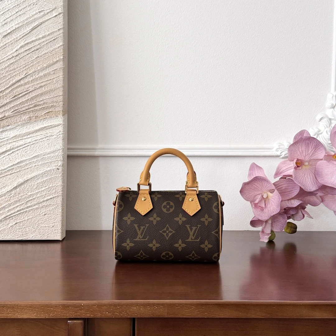 Louis Vuitton LV Lv  speedy nano
